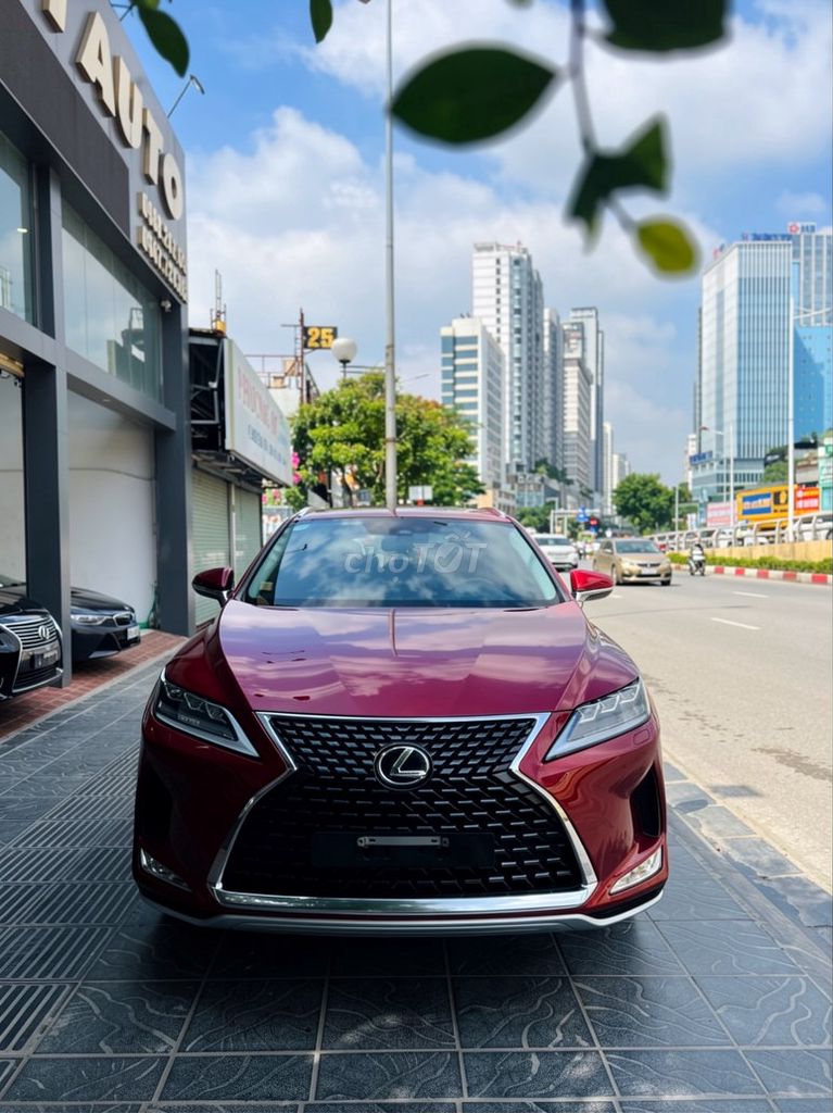 Lexus RX 300 2021 - ảnh 1