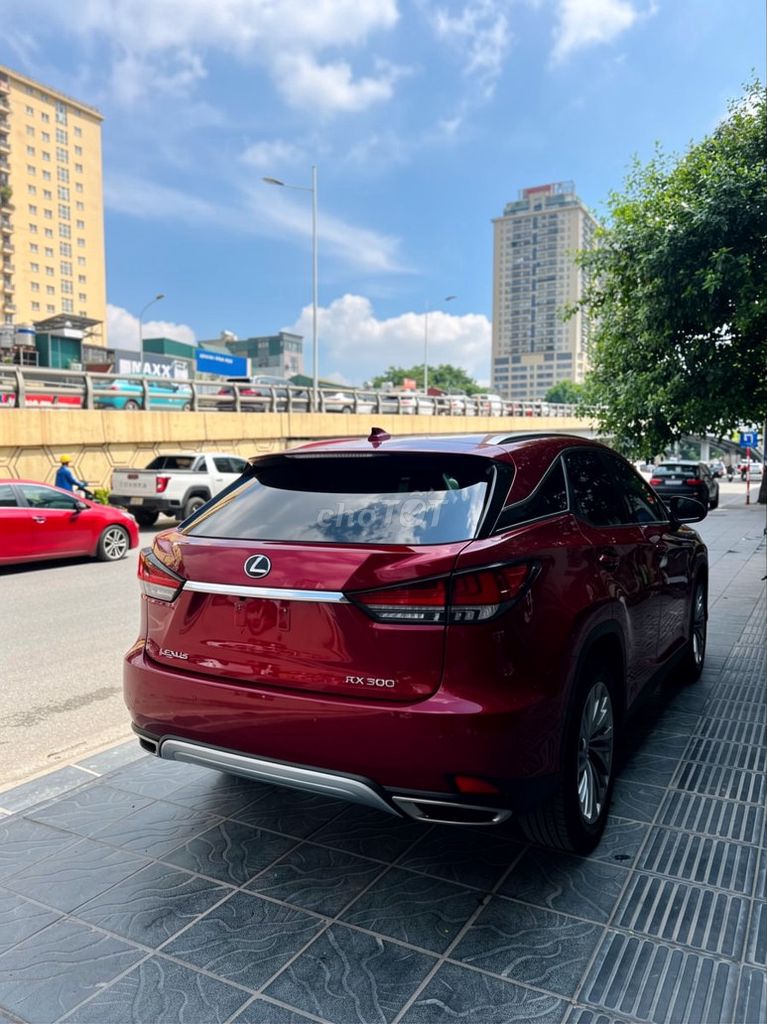 Lexus RX 300 2021 - ảnh 4