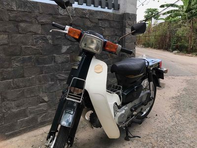 Cub 2019 - ảnh 1