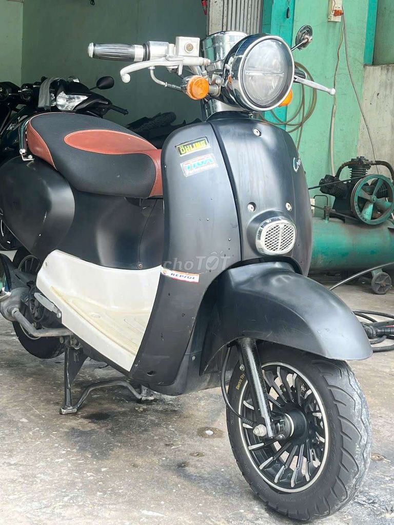 Sadoka Crea 2023 - ảnh 2
