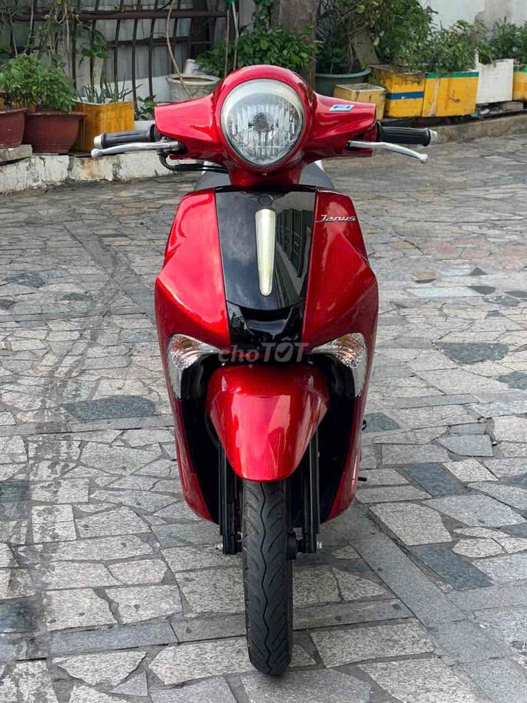 Janus 2019 - ảnh 2