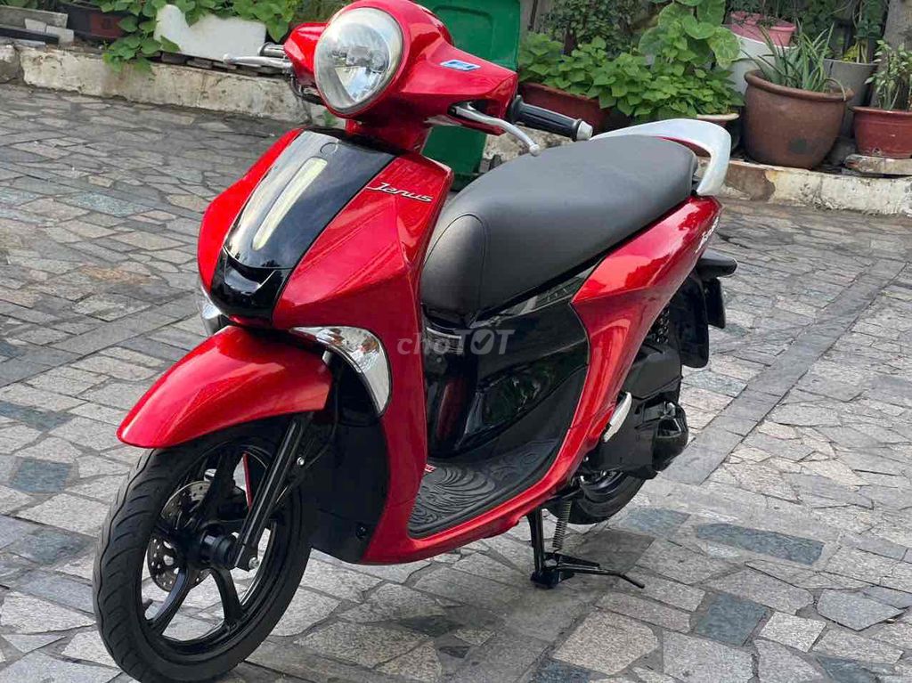 Janus 2019 - ảnh 4