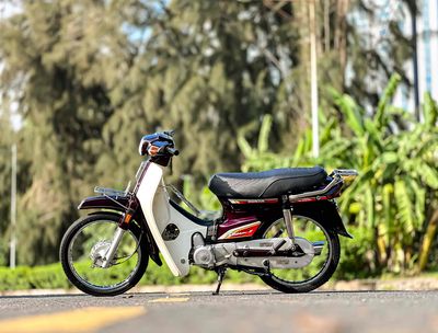 Dream th 1995 - ảnh 1