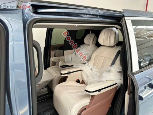 BYD M9 Premium 2026 - ảnh 4