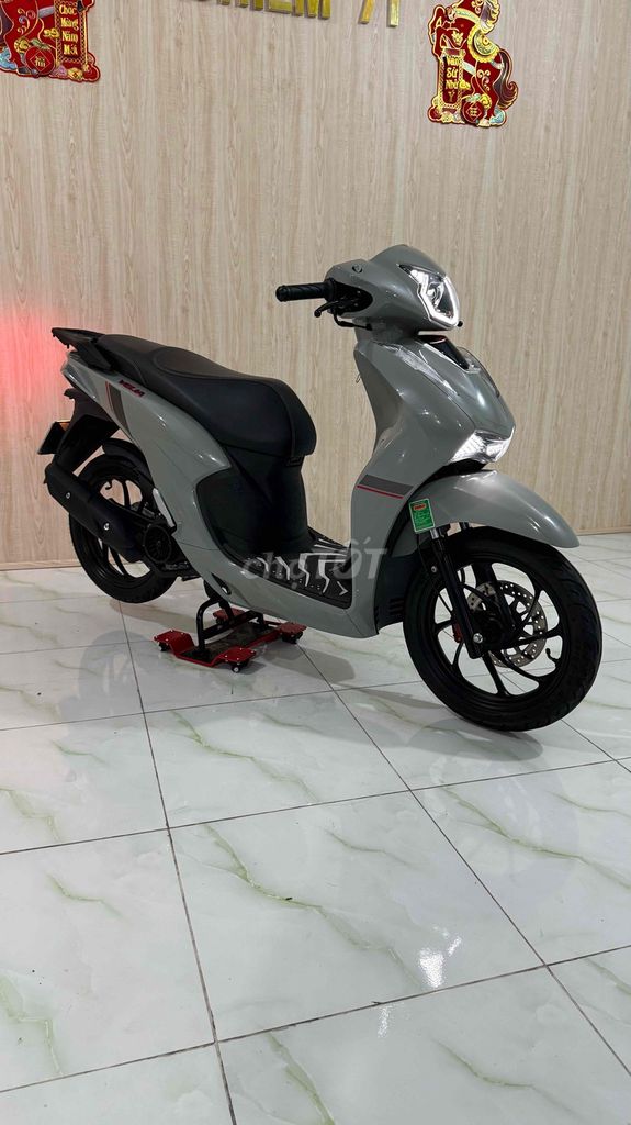 Vision Velia 2025 - ảnh 2