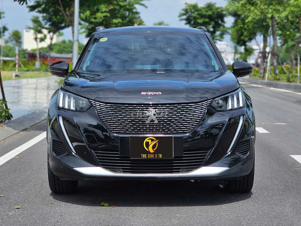 Peugeot 2008 2008 - ảnh 1