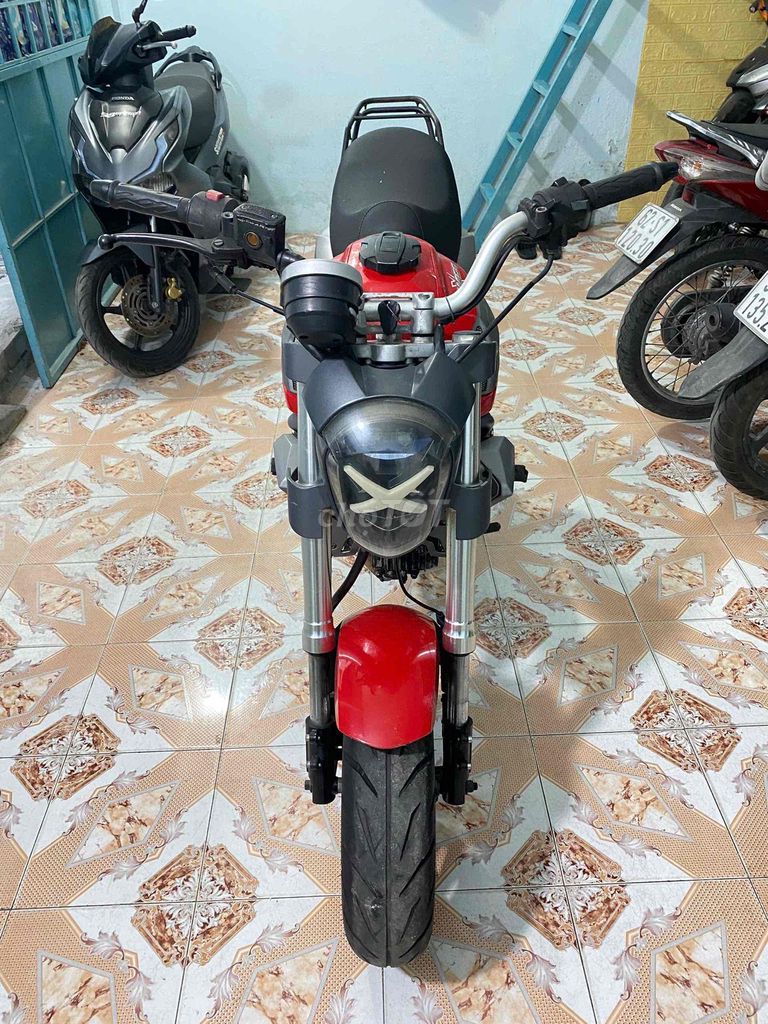 GPX 2020 - ảnh 2