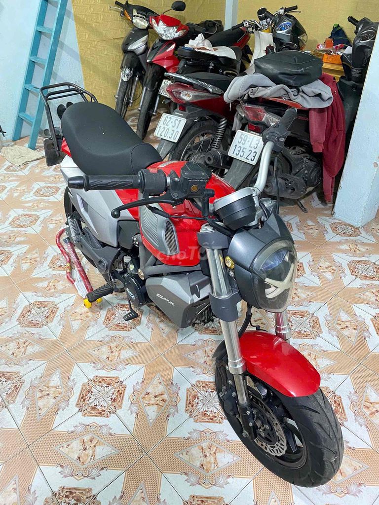 GPX 2020 - ảnh 4