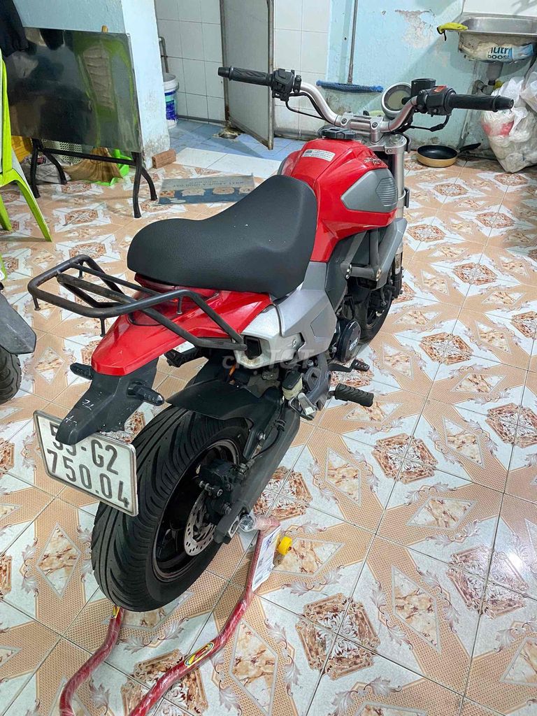 GPX 2020 - ảnh 5
