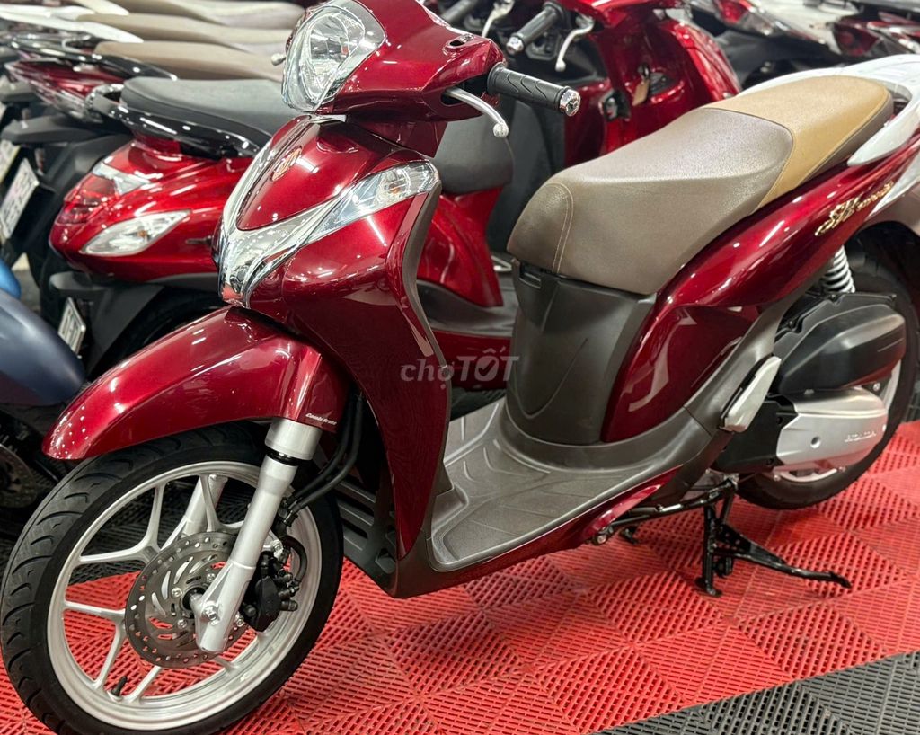 THU XE 2025 - ảnh 2