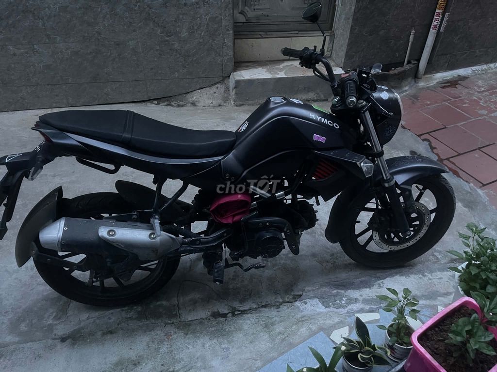 Kymco Kpipe 2023 - ảnh 4