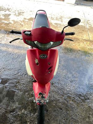 Fx 2001 - ảnh 1