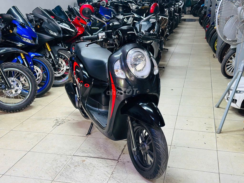 XE M 2023 - ảnh 2
