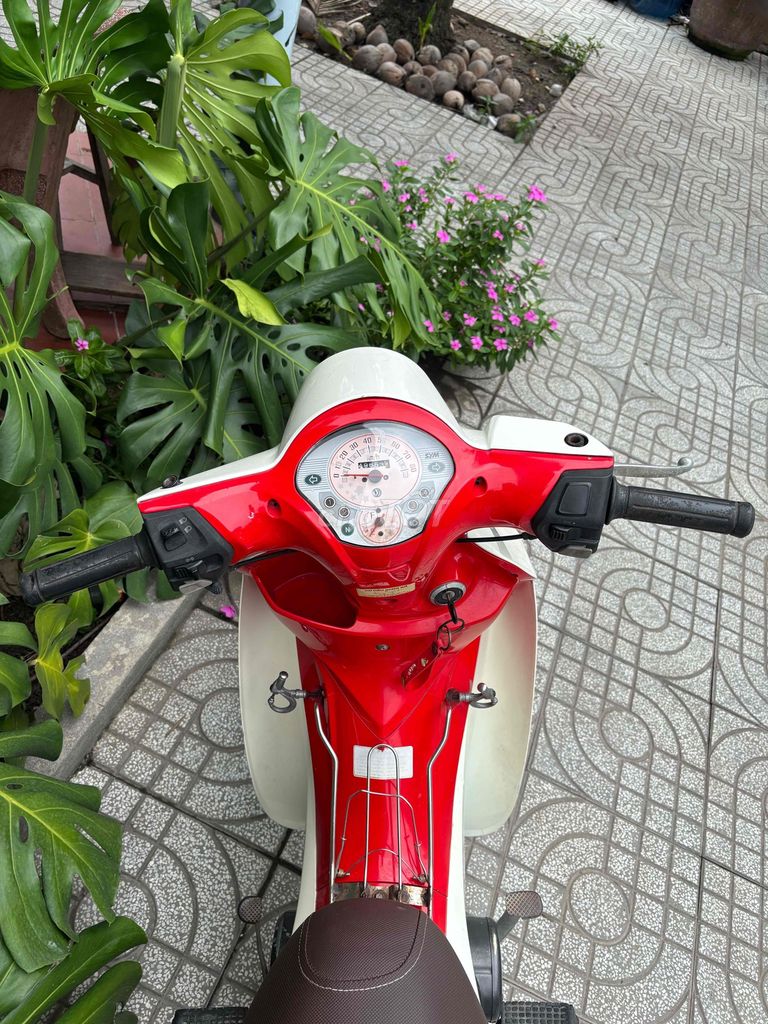 SYM Angela 2016 - ảnh 2