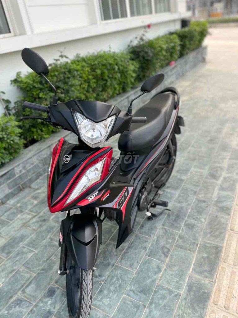 Thanh l 2021 - ảnh 2