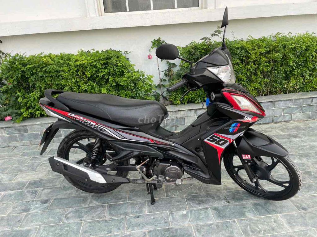 Thanh l 2021 - ảnh 5