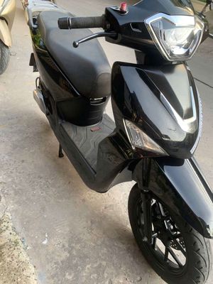 Xe m 2024 - ảnh 1