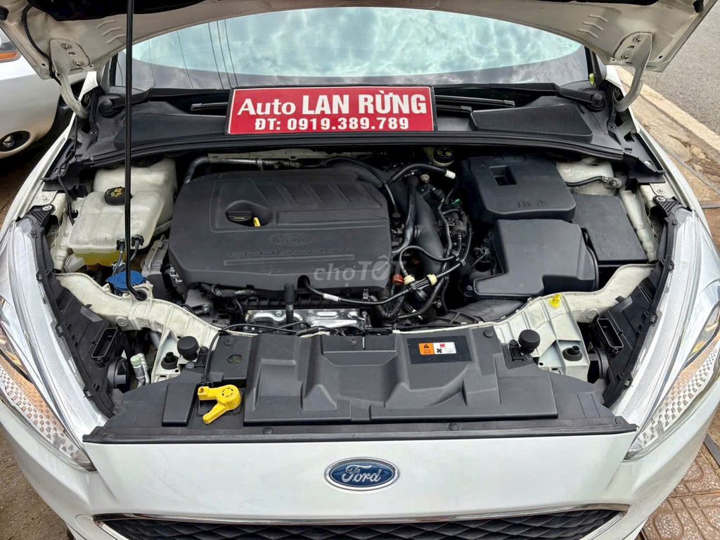 Ford Focus 2017 - ảnh 3
