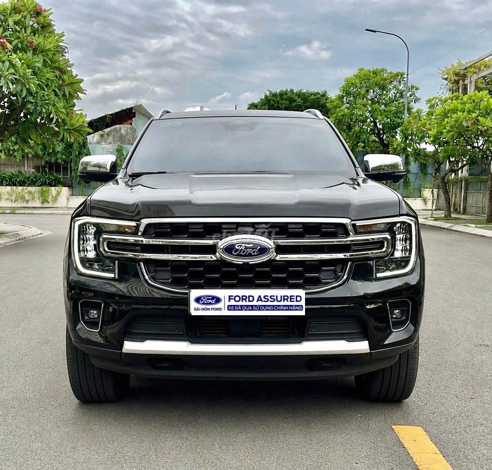 Ford - ảnh 1