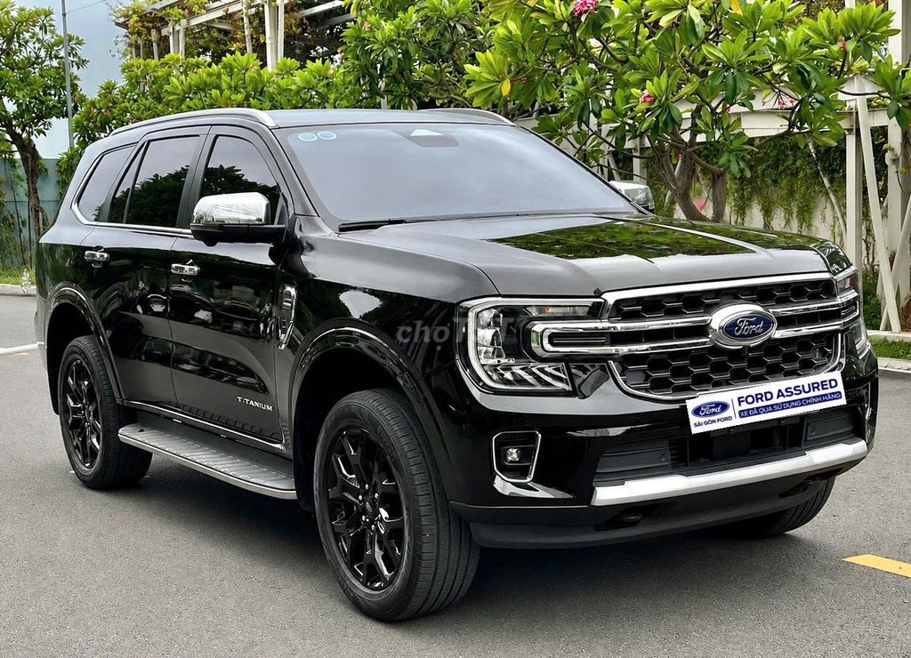 Ford - ảnh 2