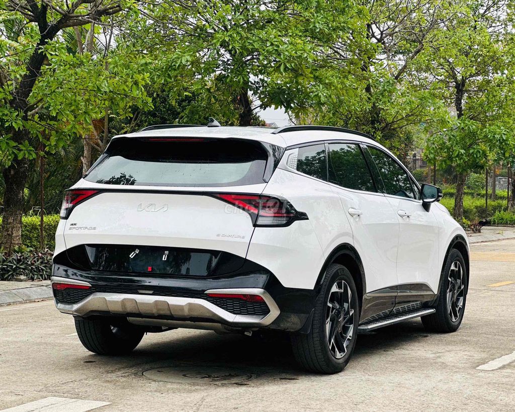 Kia Sportage 2024 - ảnh 4