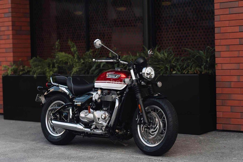 Triumph Bonneville 2026 - ảnh 2