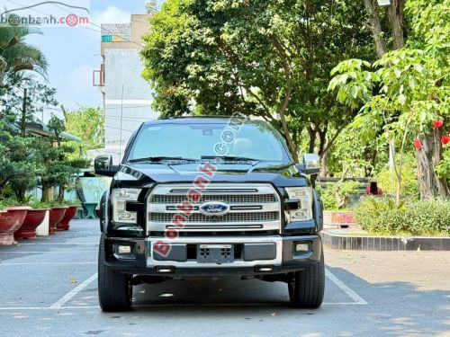 Ford F150 Platinum 2015 - ảnh 1