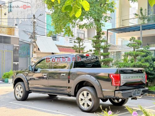 Ford F150 Platinum 2015 - ảnh 4