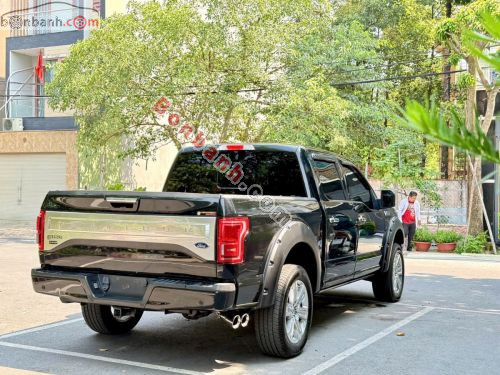 Ford F150 Platinum 2015 - ảnh 5