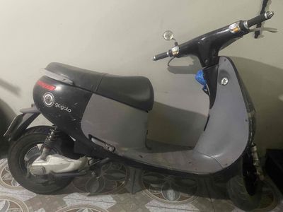 Xe m 2022 - ảnh 1
