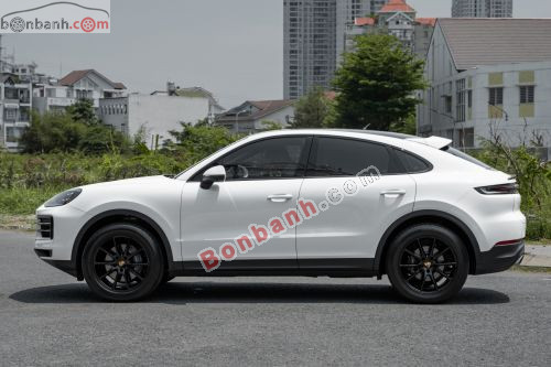 Porsche Cayenne 2023 - ảnh 2