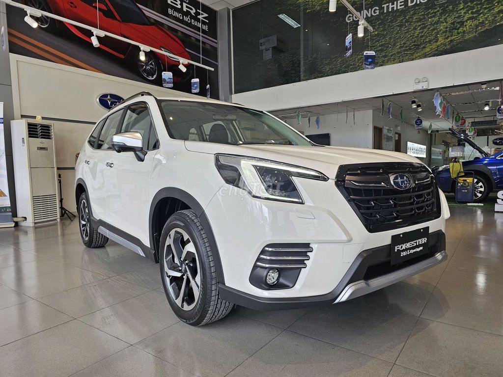 Subaru Forester 2024 - ảnh 1