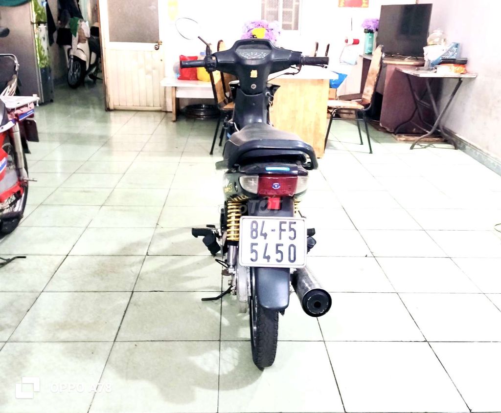Honda 2010 - ảnh 4