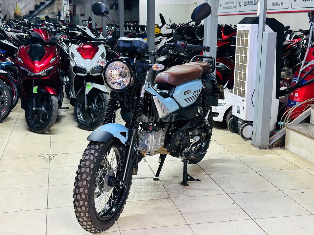 XE M 2025 - ảnh 1