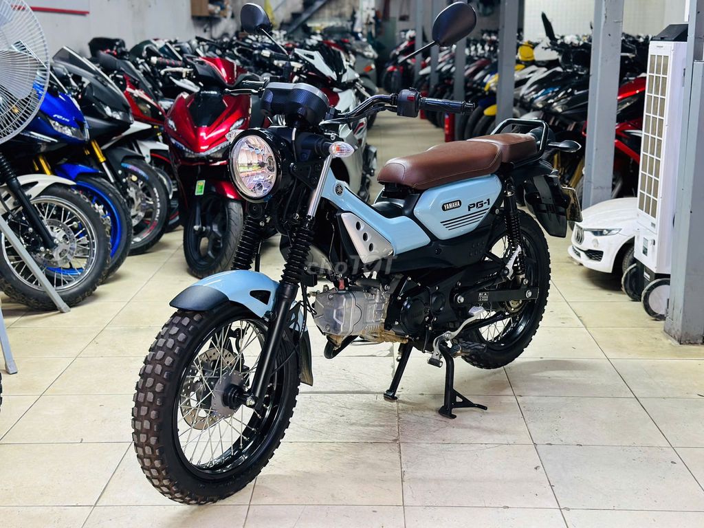 XE M 2025 - ảnh 2