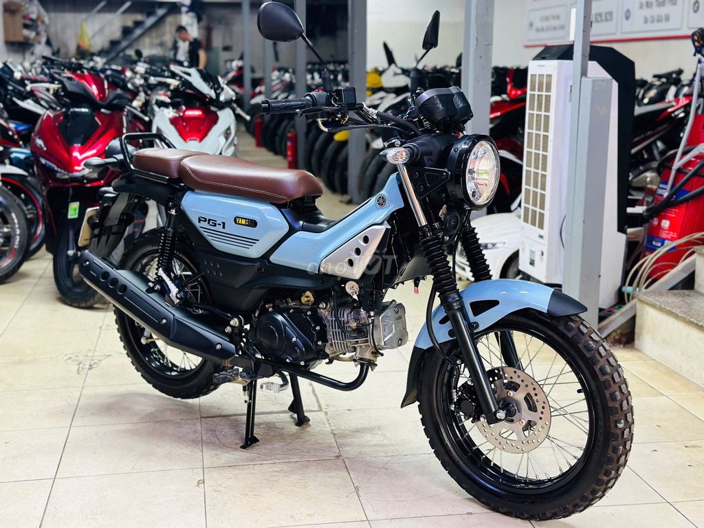 XE M 2025 - ảnh 3