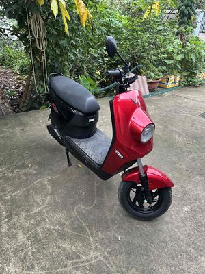 Xe m 2026 - ảnh 1
