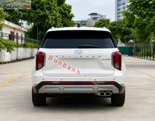 Hyundai Palisade Prestige 2.2 AT HTRAC 2024 - ảnh 5