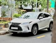 Lexus RX 300 2021 - ảnh 1