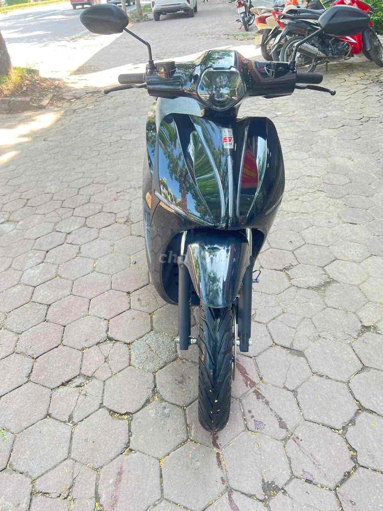 Xe m 2025 - ảnh 1