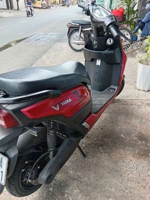 Xe m 2025 - ảnh 1