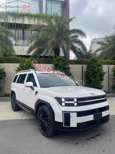 Hyundai SantaFe Calligraphy 2.5L Turbo HTRAC 2026 - ảnh 3