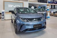 BYD Dolphin 2026 - ảnh 1