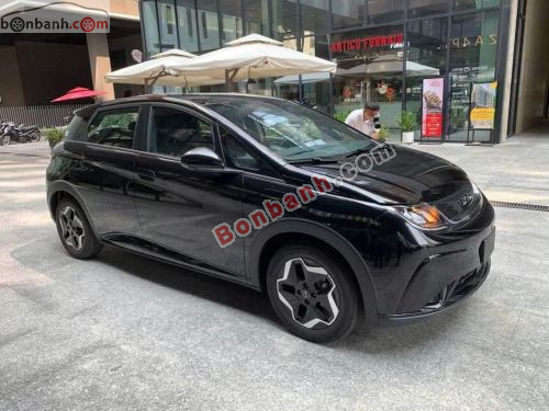BYD Dolphin 2026 - ảnh 3