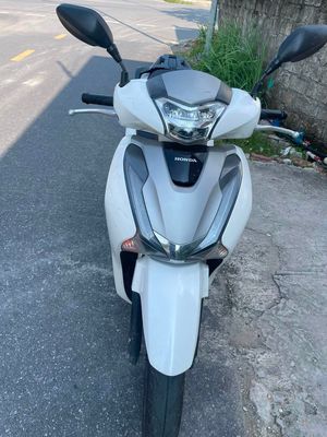Lead 2019 - ảnh 1