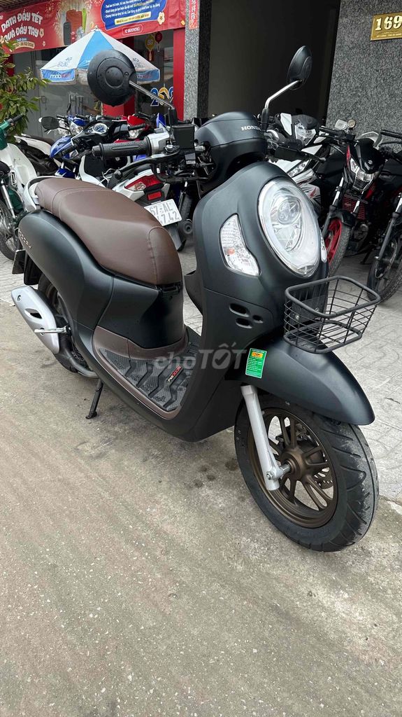 Honda Scoopy 2024 - ảnh 2