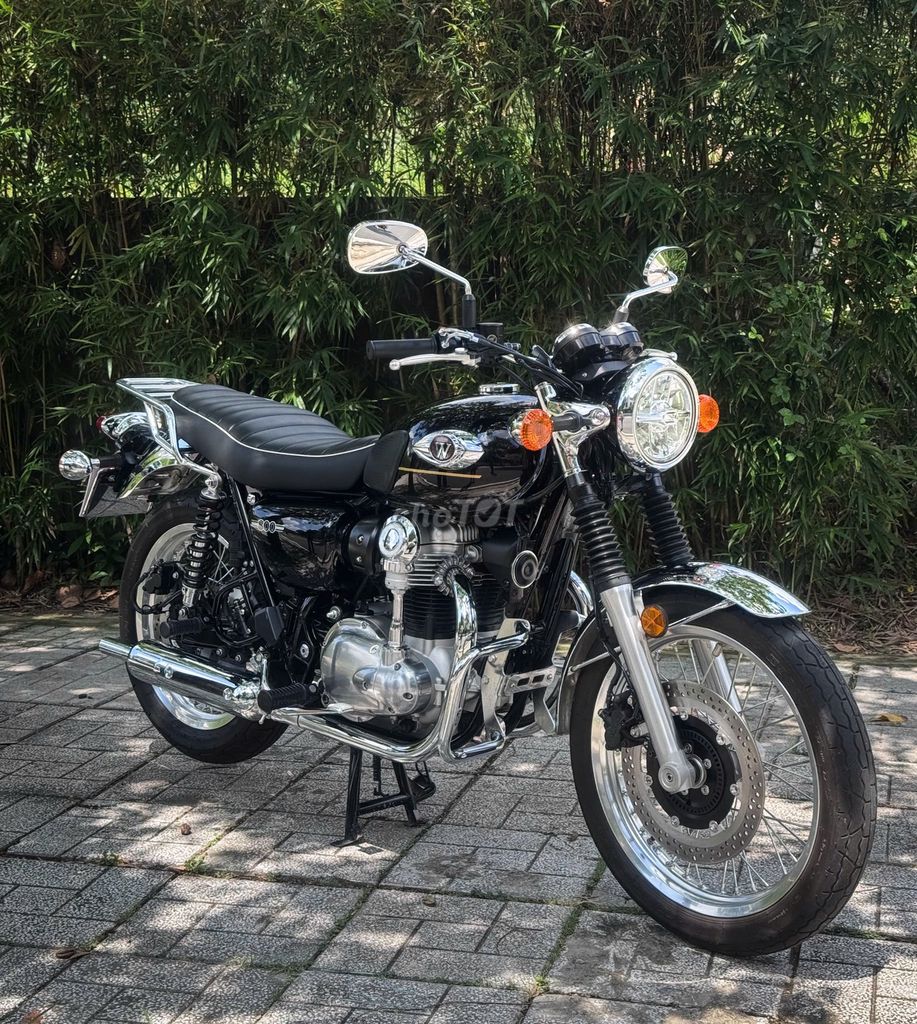 Kawasaki W 2025 - ảnh 3