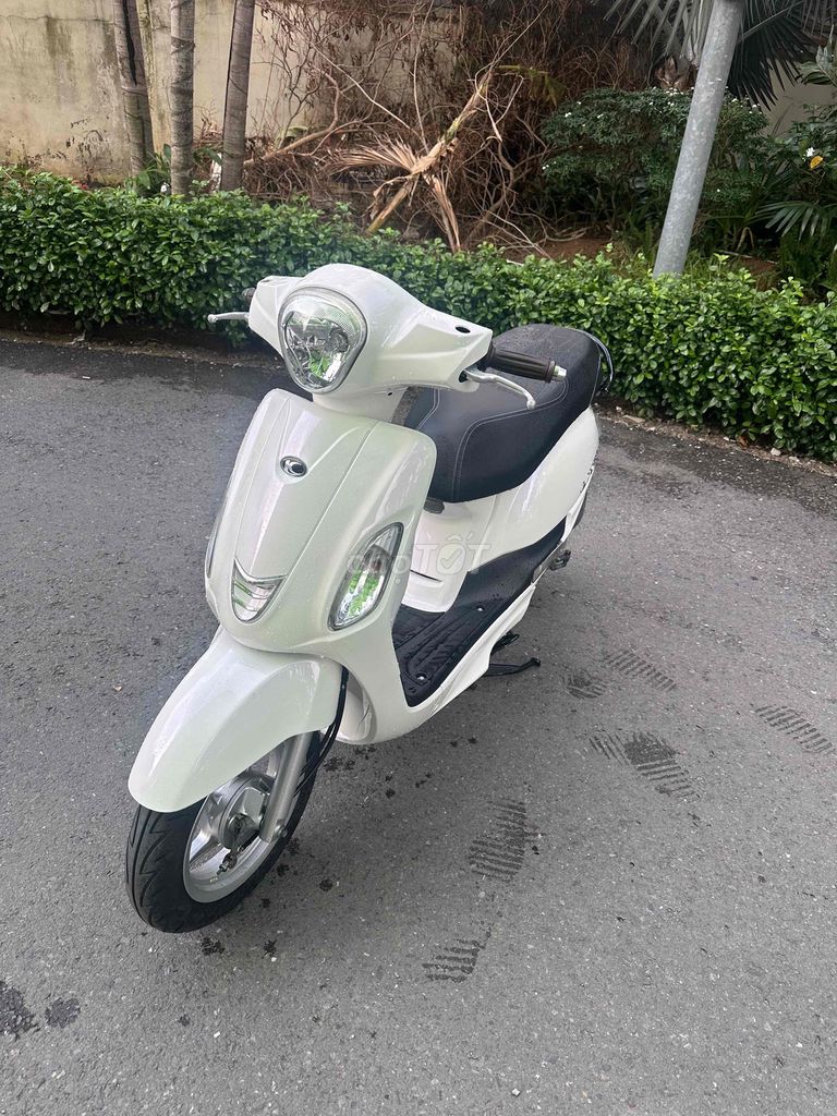 Mình c 2020 - ảnh 1