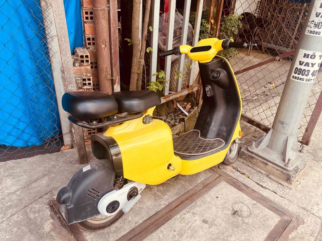 Xe m 2024 - ảnh 1