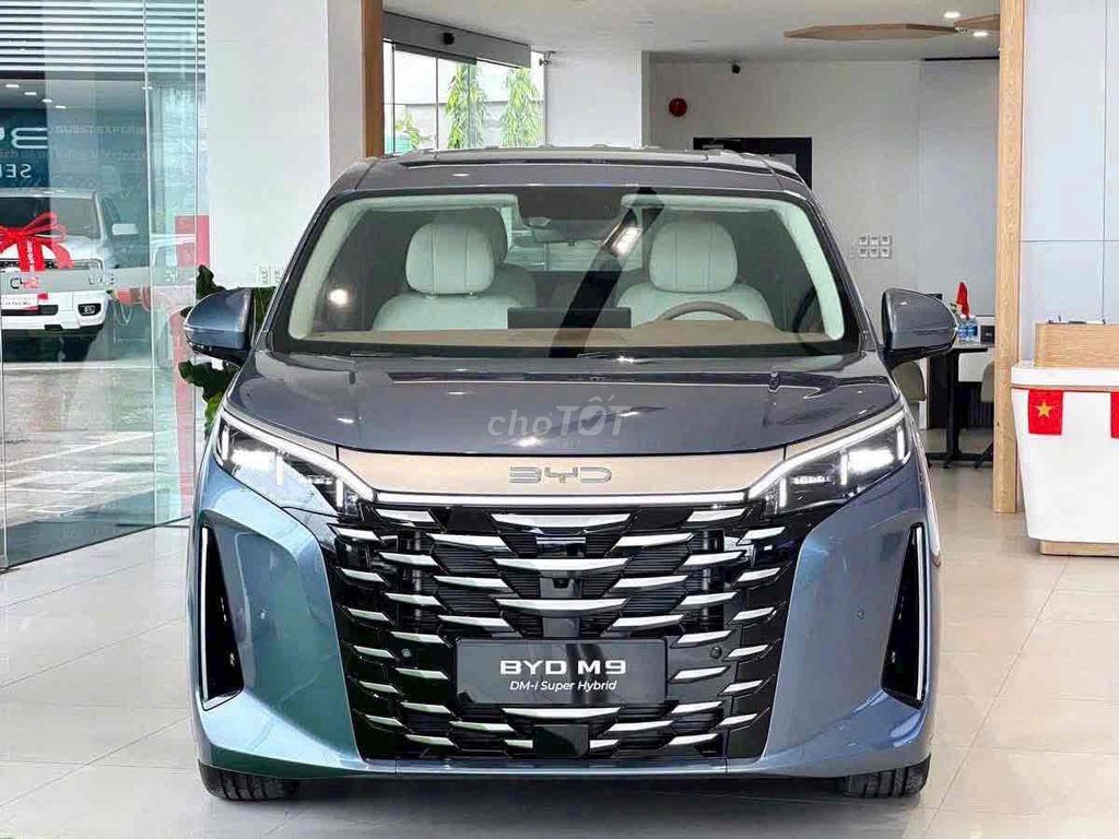 BYD - ảnh 1